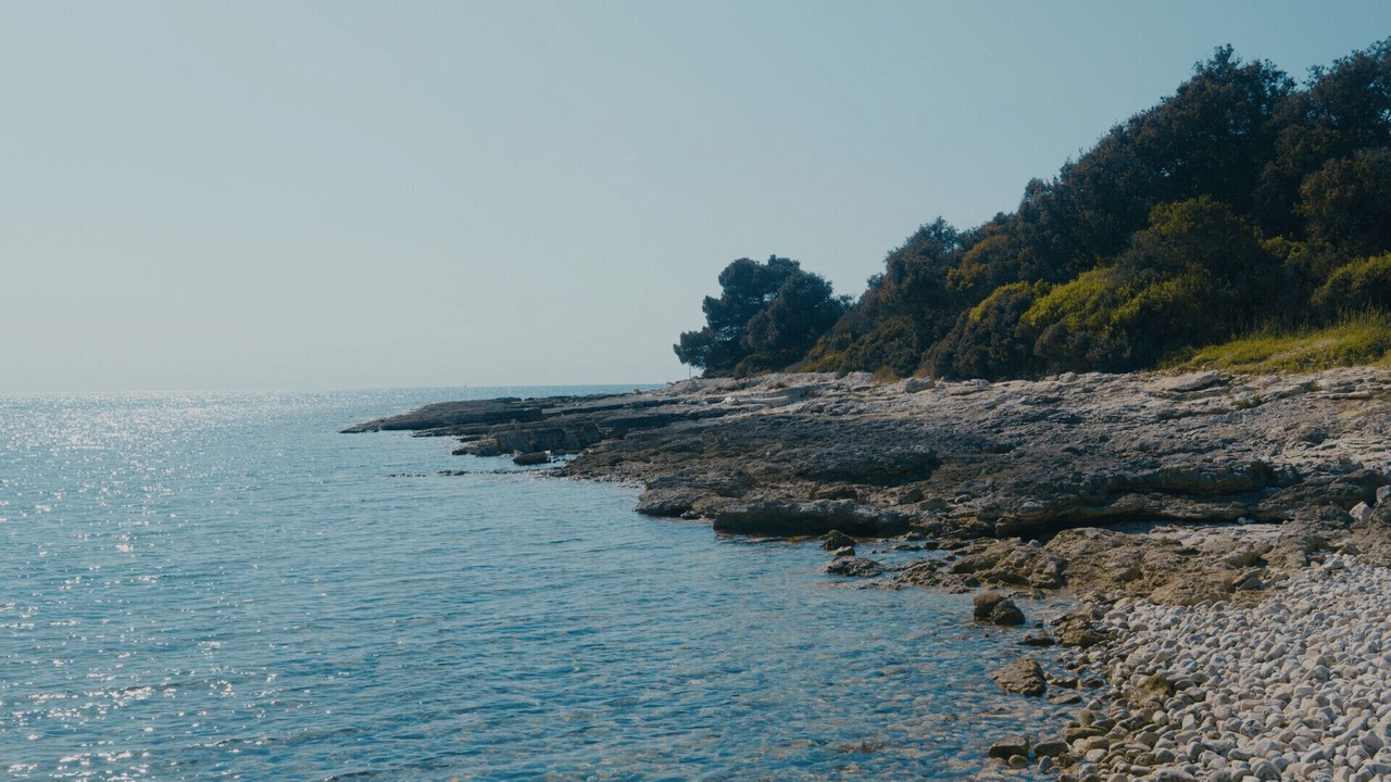 Photo of Others in Barbariga