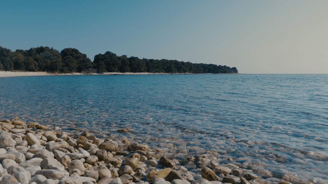 Photo of Others in Barbariga