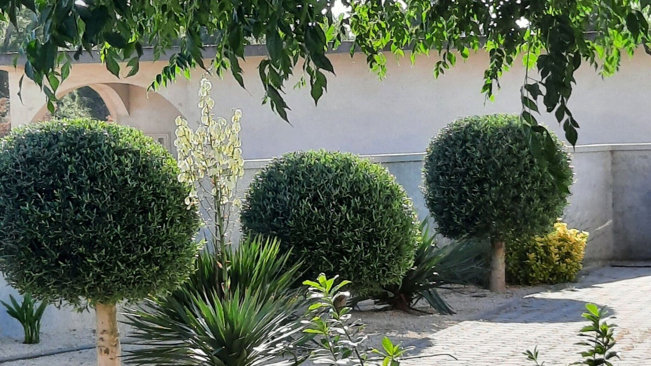 Photo of Outdoor in Vrsi