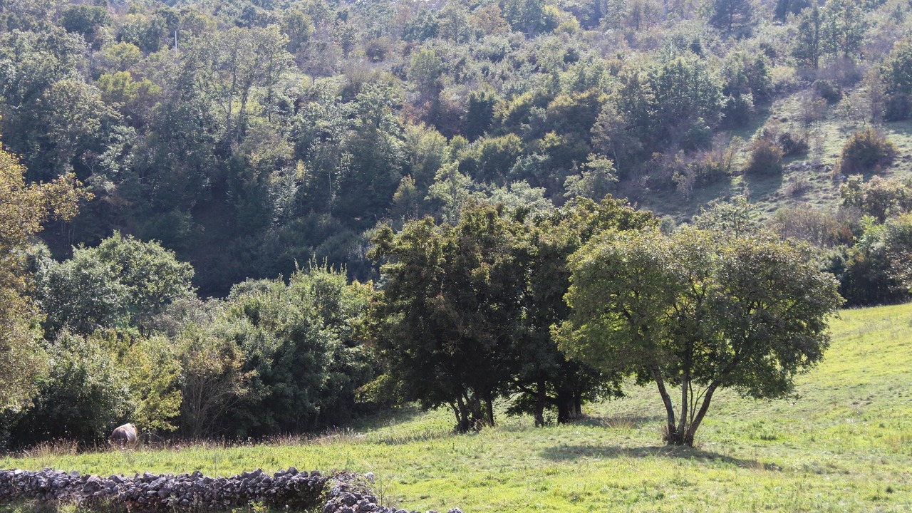 Photo of Others in Gradisce