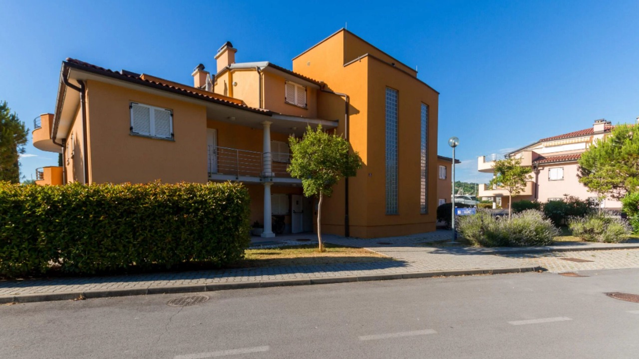 Photo of Outdoor in Seca
