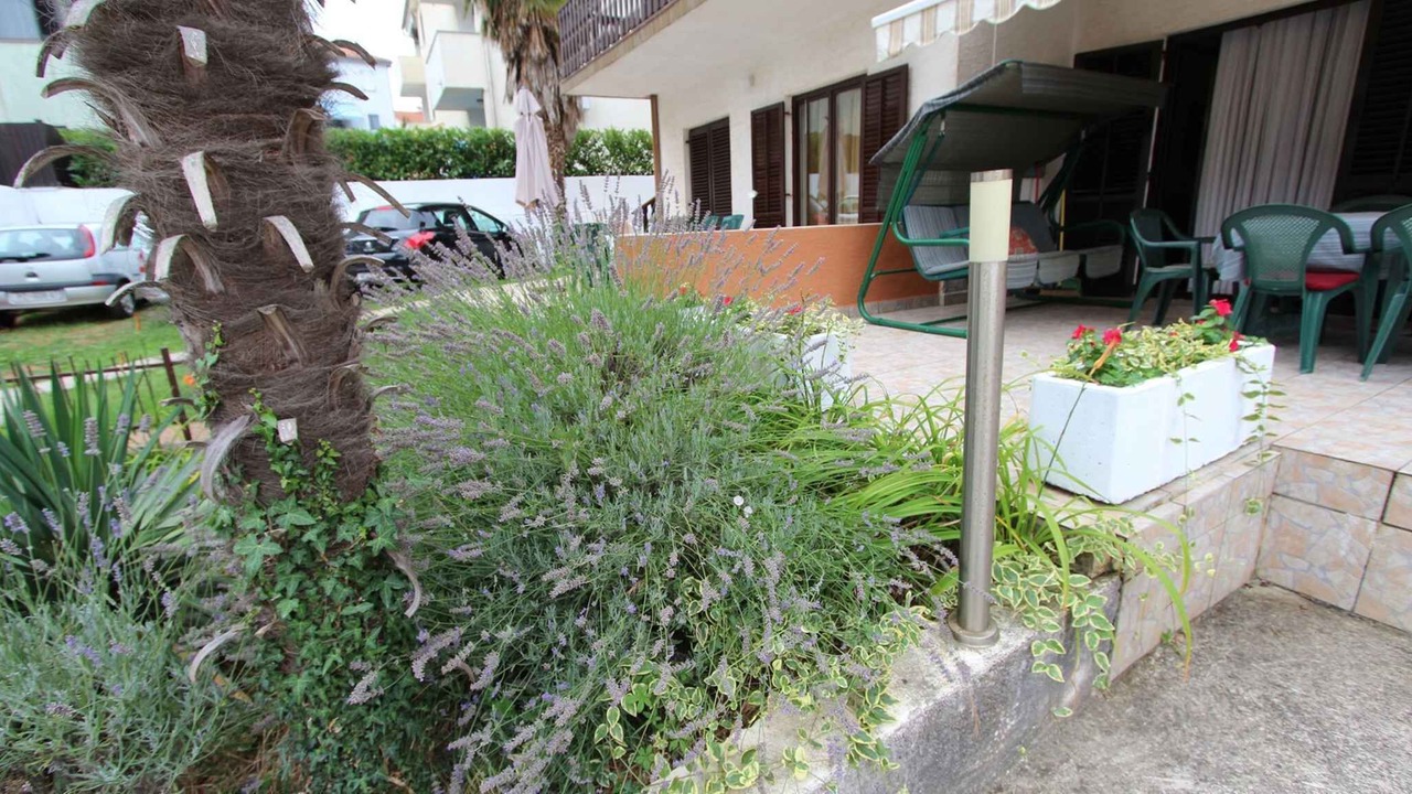 Photo of Outdoor in Porat