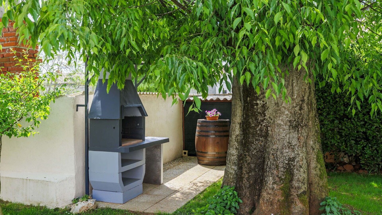 Photo of Outdoor in Sajini