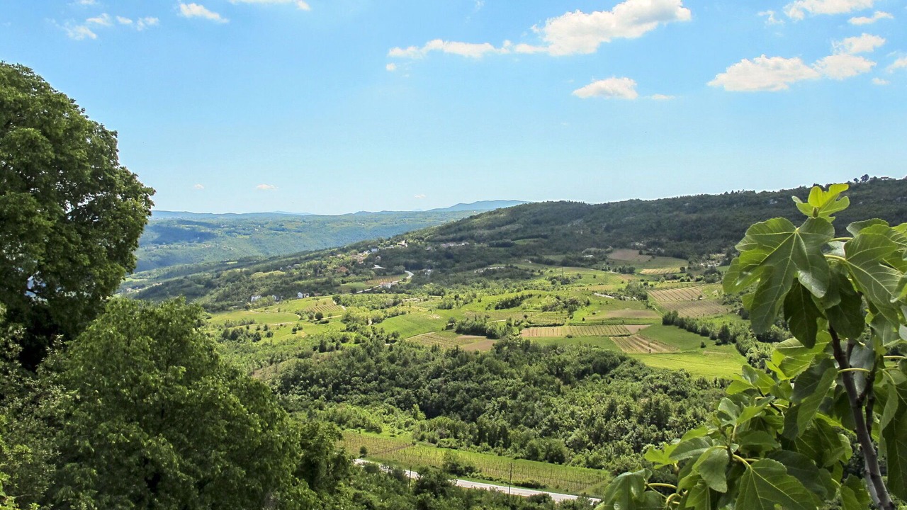 Photo of Outdoor in Krbune