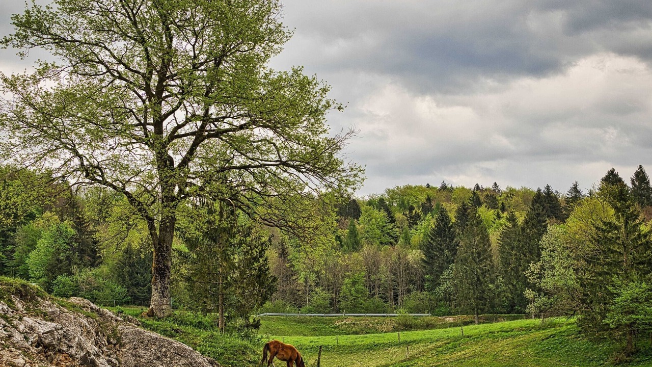 Photo of Outdoor in Ivancna Gorica