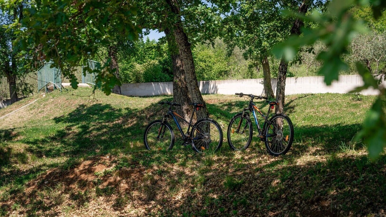 Photo of Outdoor in Markovac