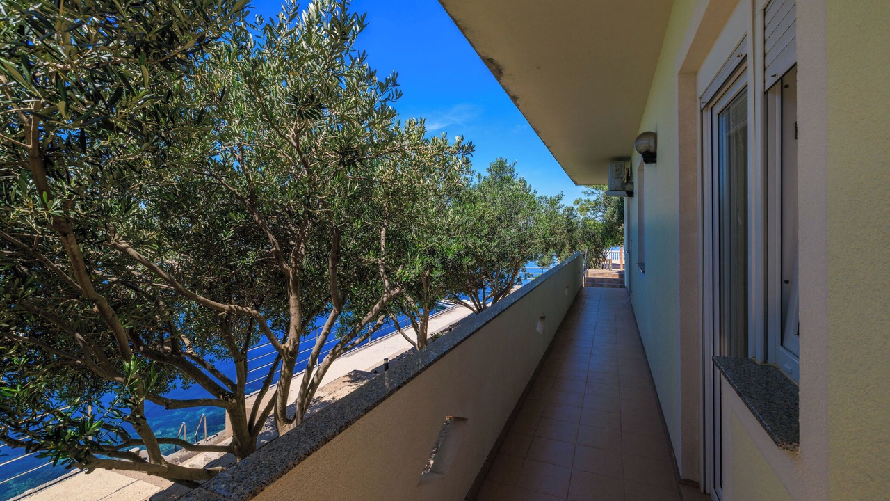 Photo of Outdoor in Baric Draga