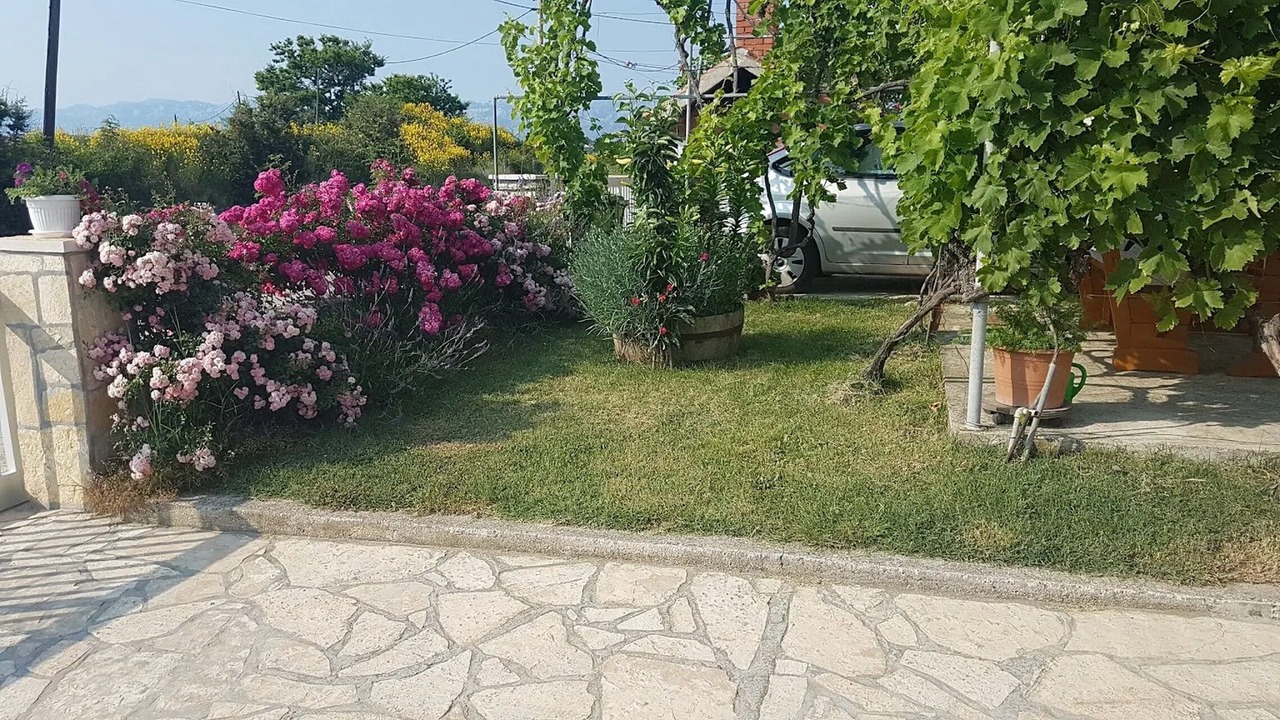Photo of Outdoor in Ljubac