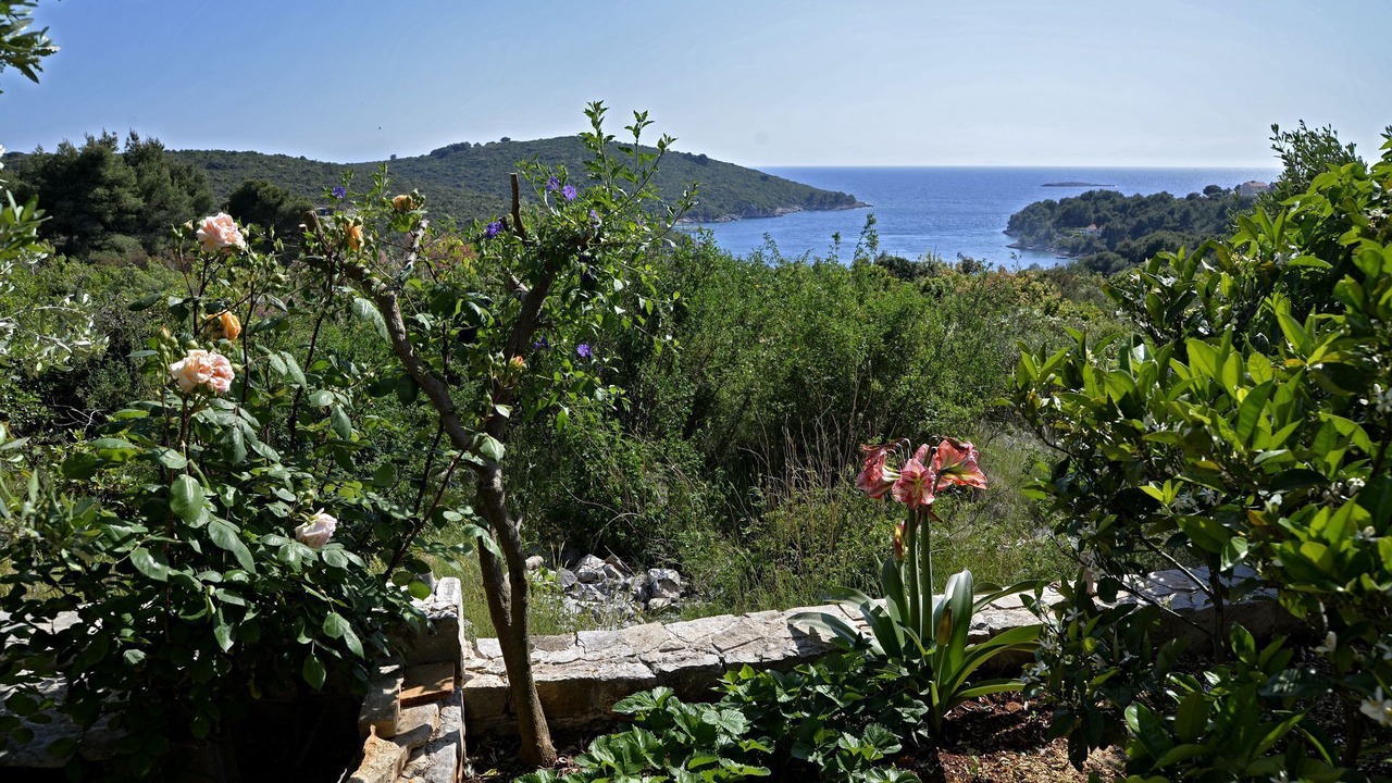 Photo of Outdoor in Maslinica