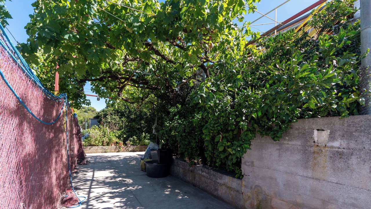 Photo of Outdoor in Luka