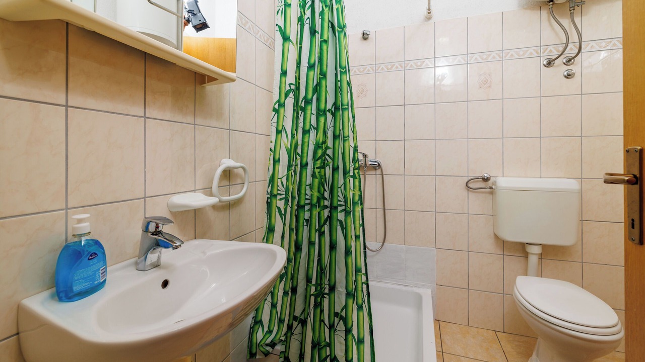 Photo of Bathroom in Baric Draga