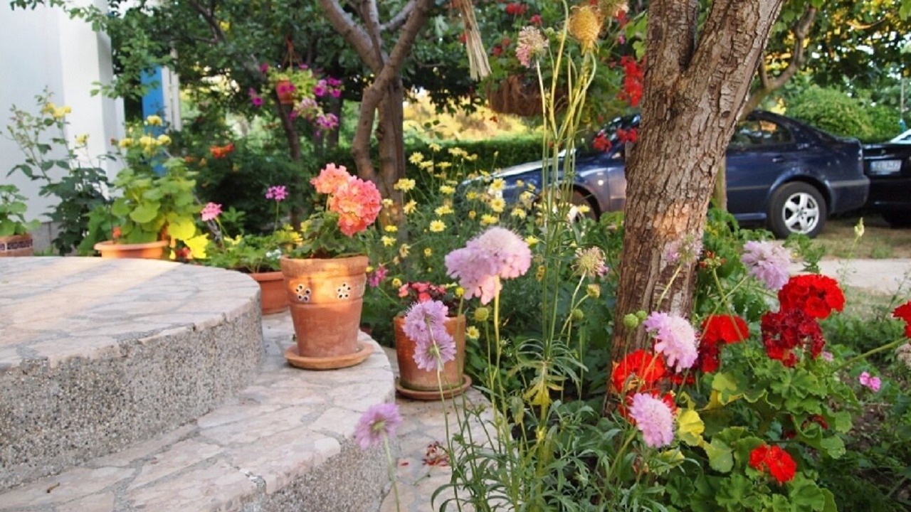 Photo of Outdoor in Vlasici