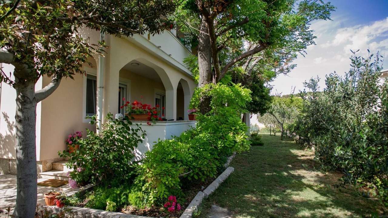 Photo of Outdoor in Vlasici