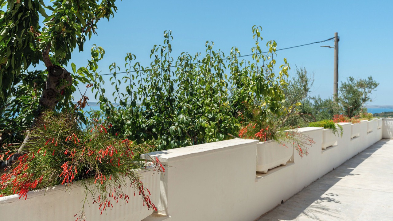 Photo of Outdoor in Rtina