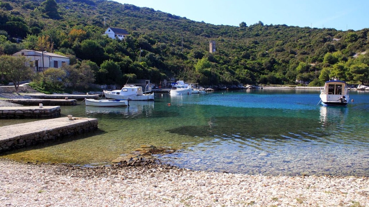 Photo of Others in Cove Rogacic