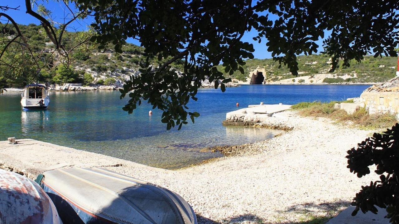 Photo of Others in Cove Rogacic