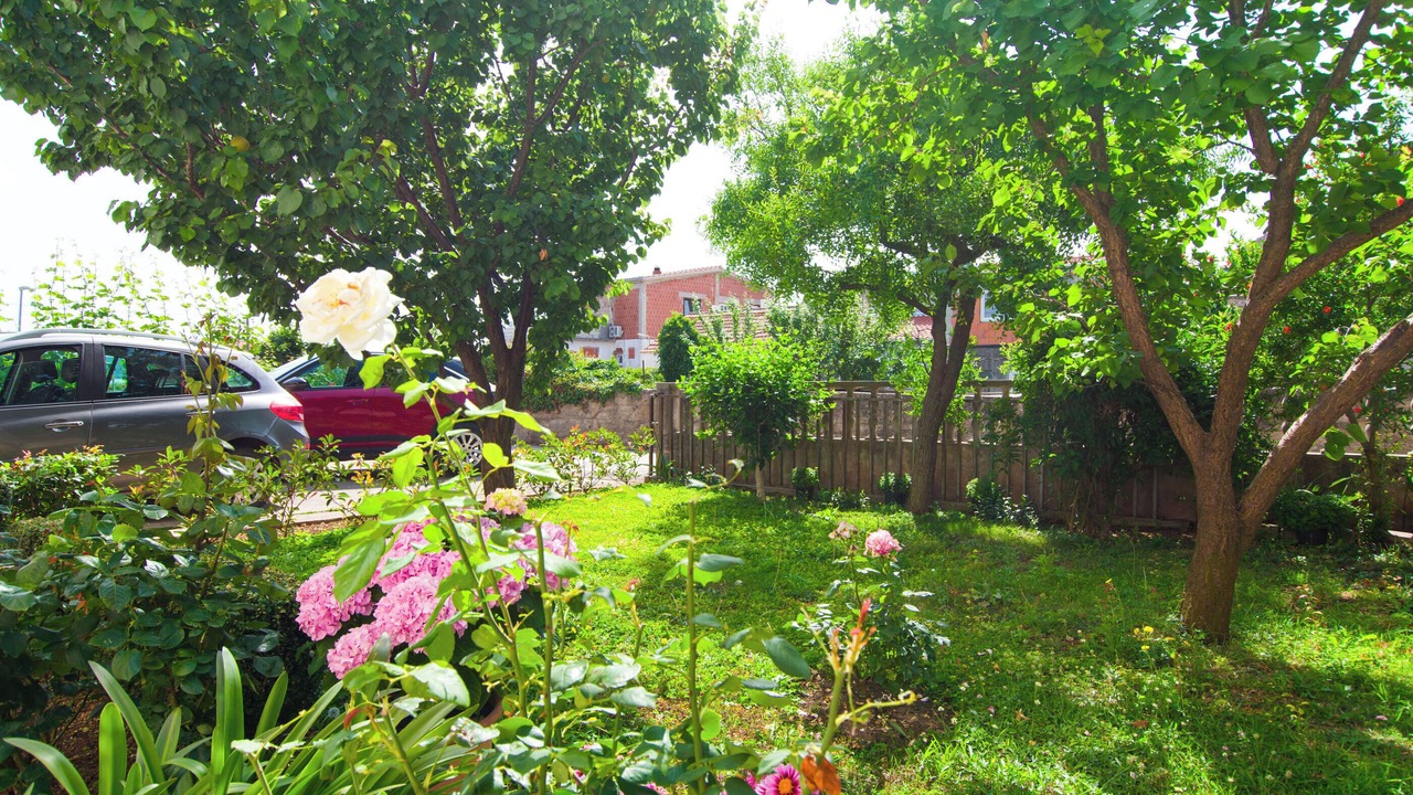 Photo of Outdoor in Dobropoljana