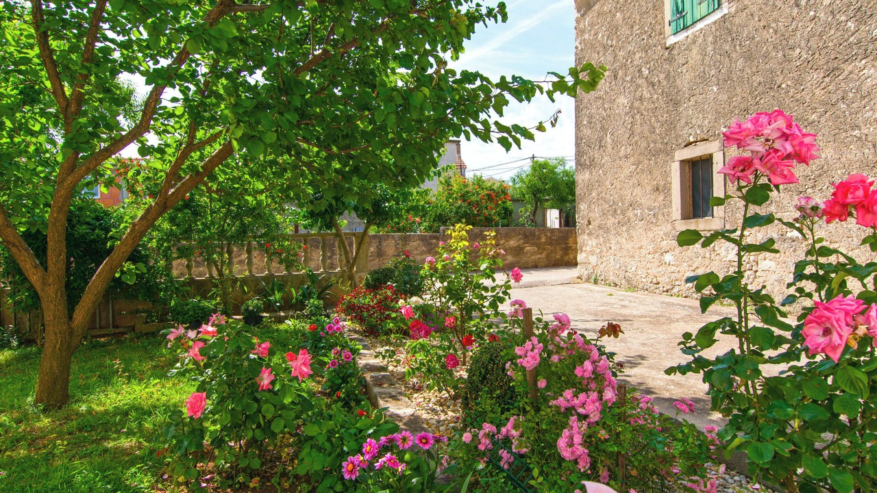 Photo of Outdoor in Dobropoljana