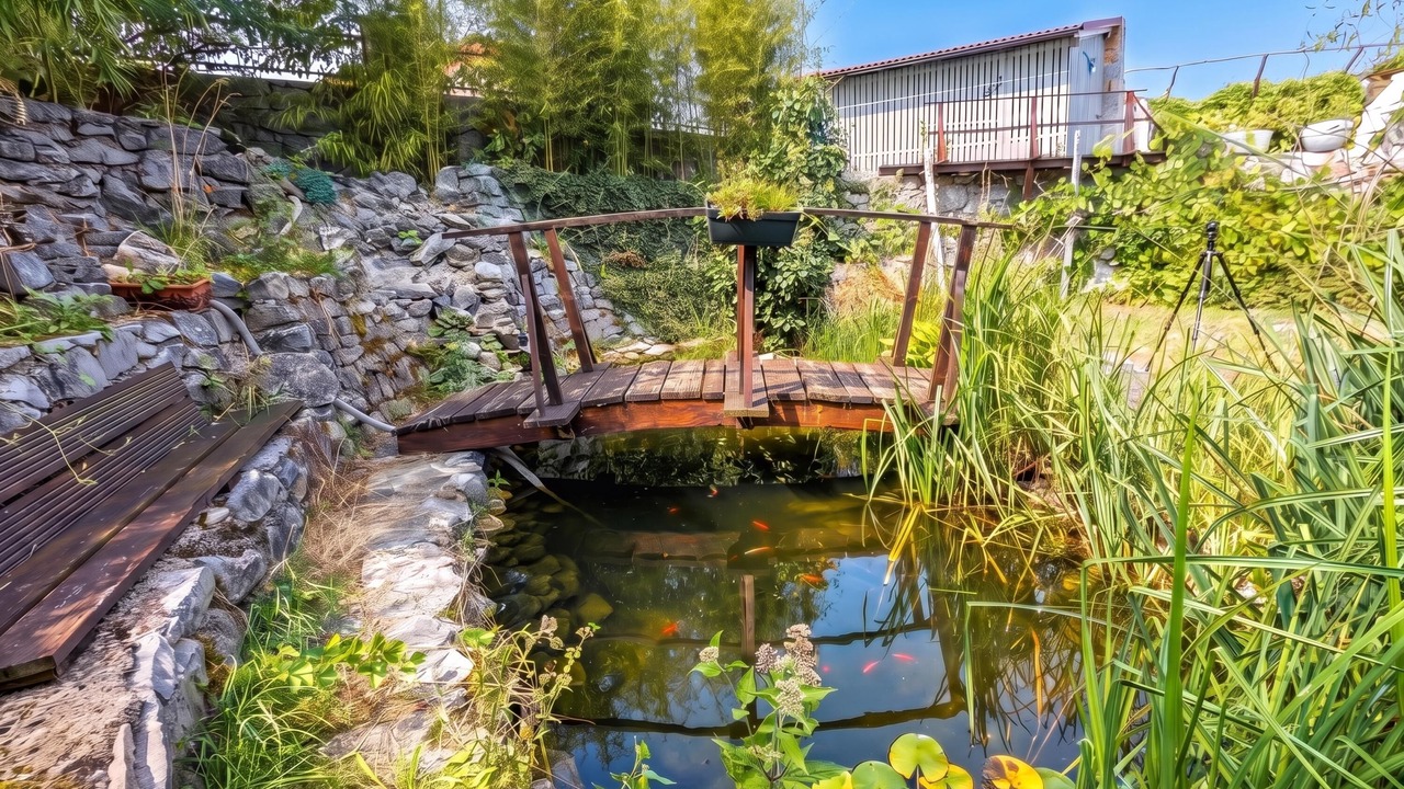 Photo of Outdoor in Kras