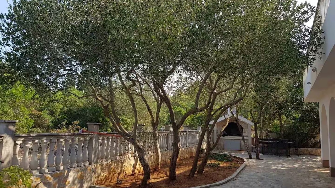Photo of Outdoor in Rudina