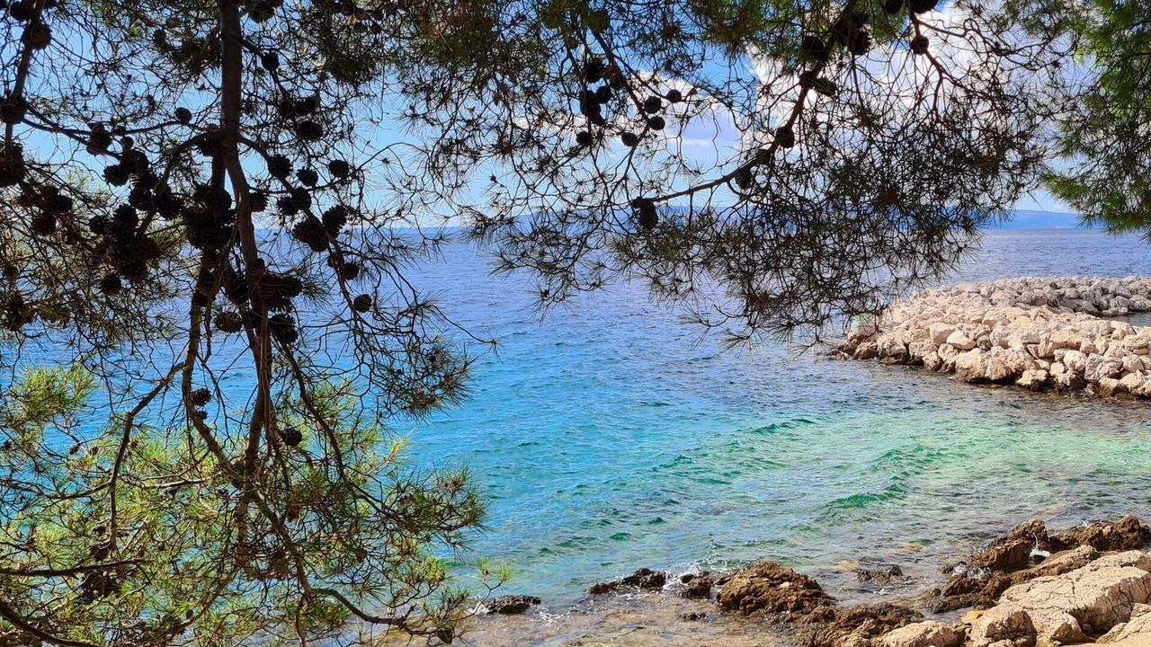 Photo of Others in Cres