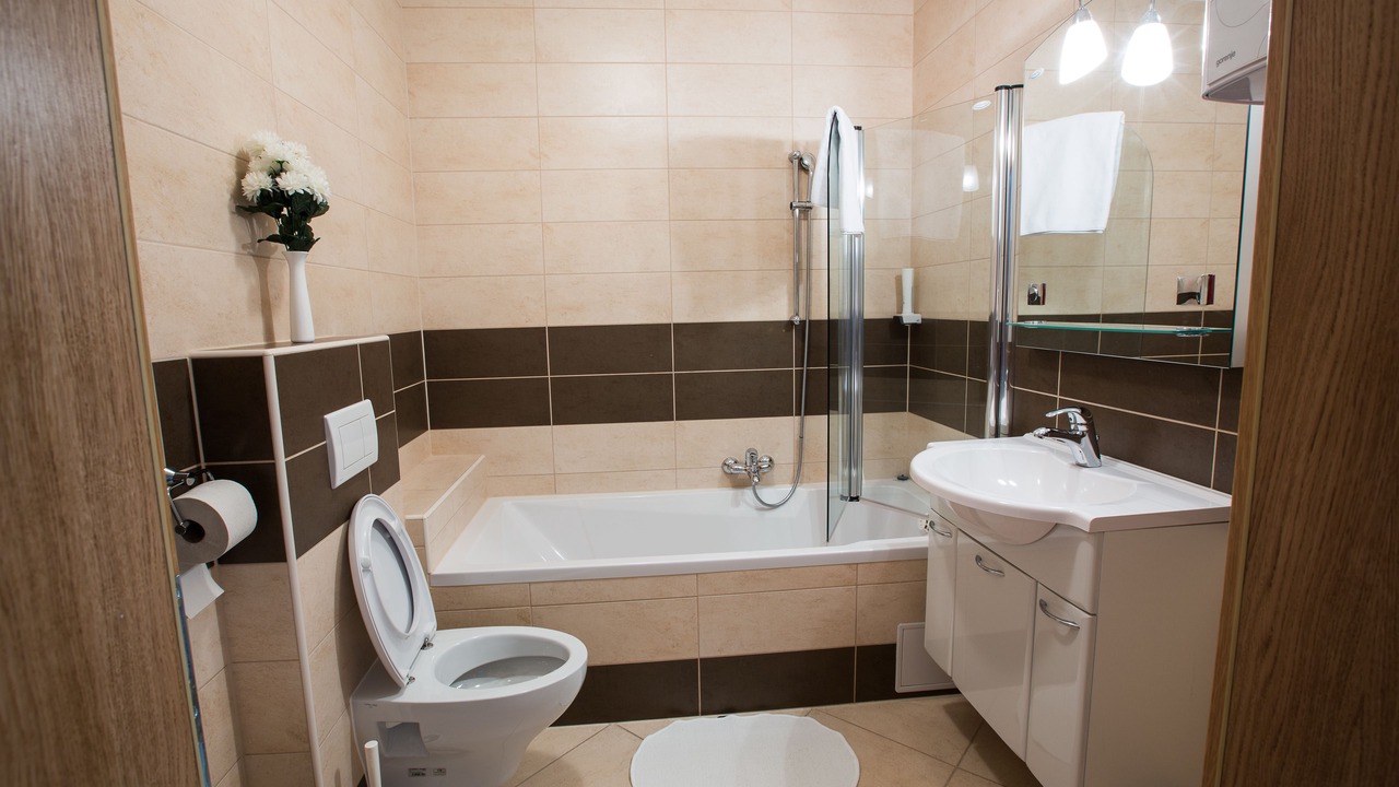 Photo of Bathroom in Bled