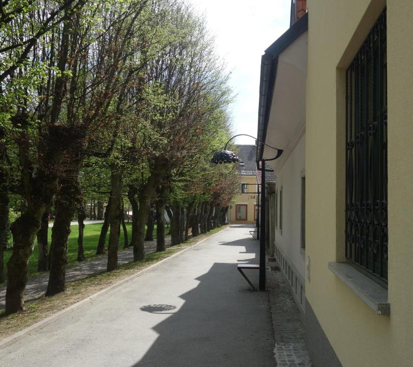 Photo of Others in Radovljica