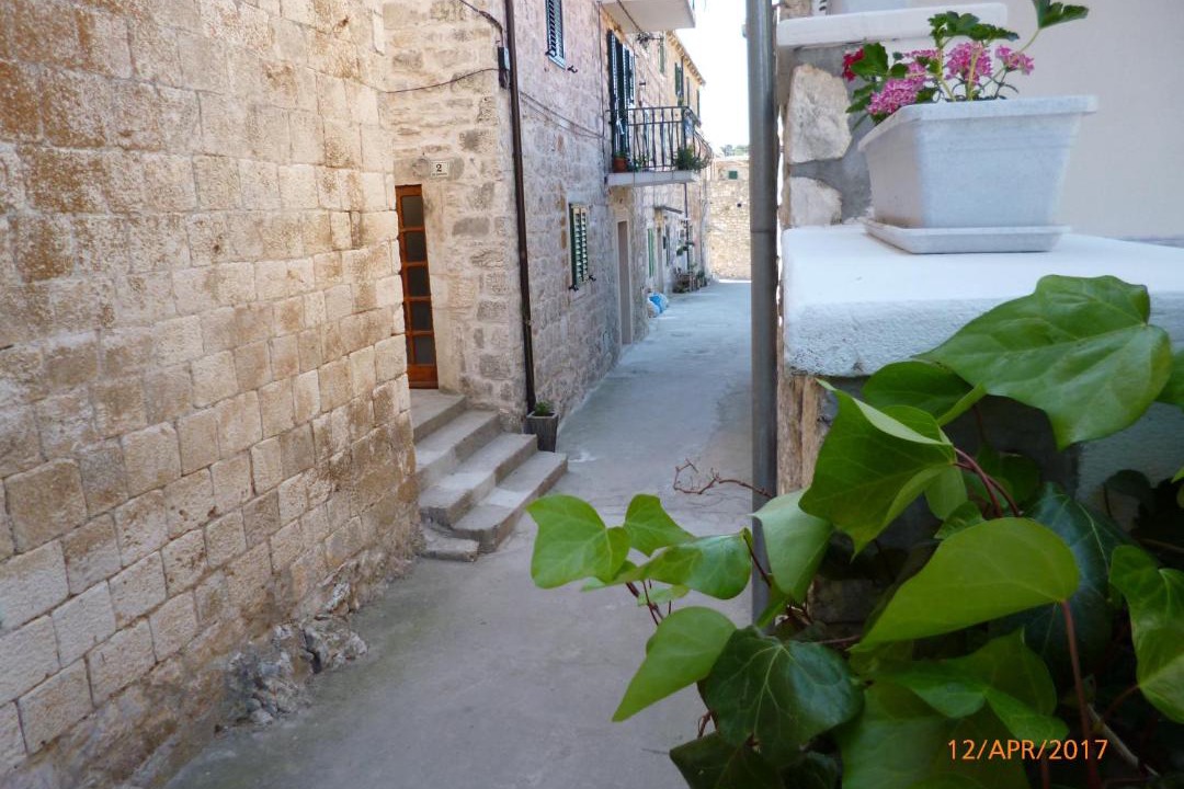 Photo of Others in Hvar Old Town