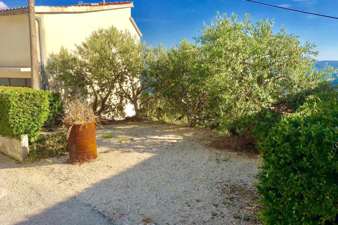 Photo of Others in Marusici