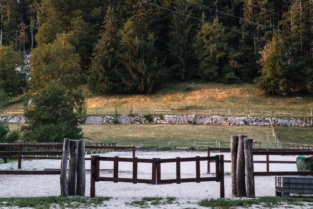 Photo of Others in Nova Gorica
