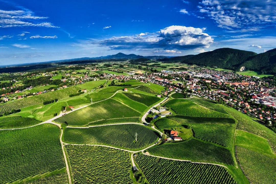 Photo of Others in Slovenske Konjice
