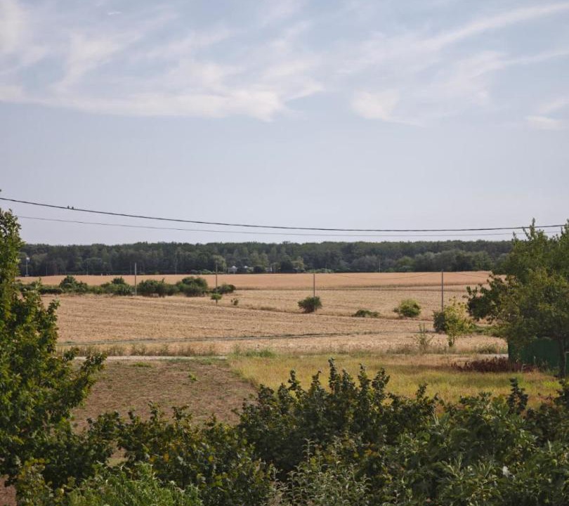 Photo of Others in Vukovar
