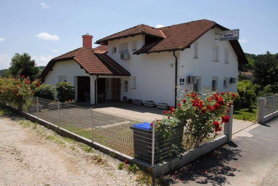 Photo of Others in Krapinske Toplice