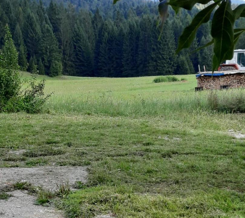 Photo of Others in Hrib-Loski Potok