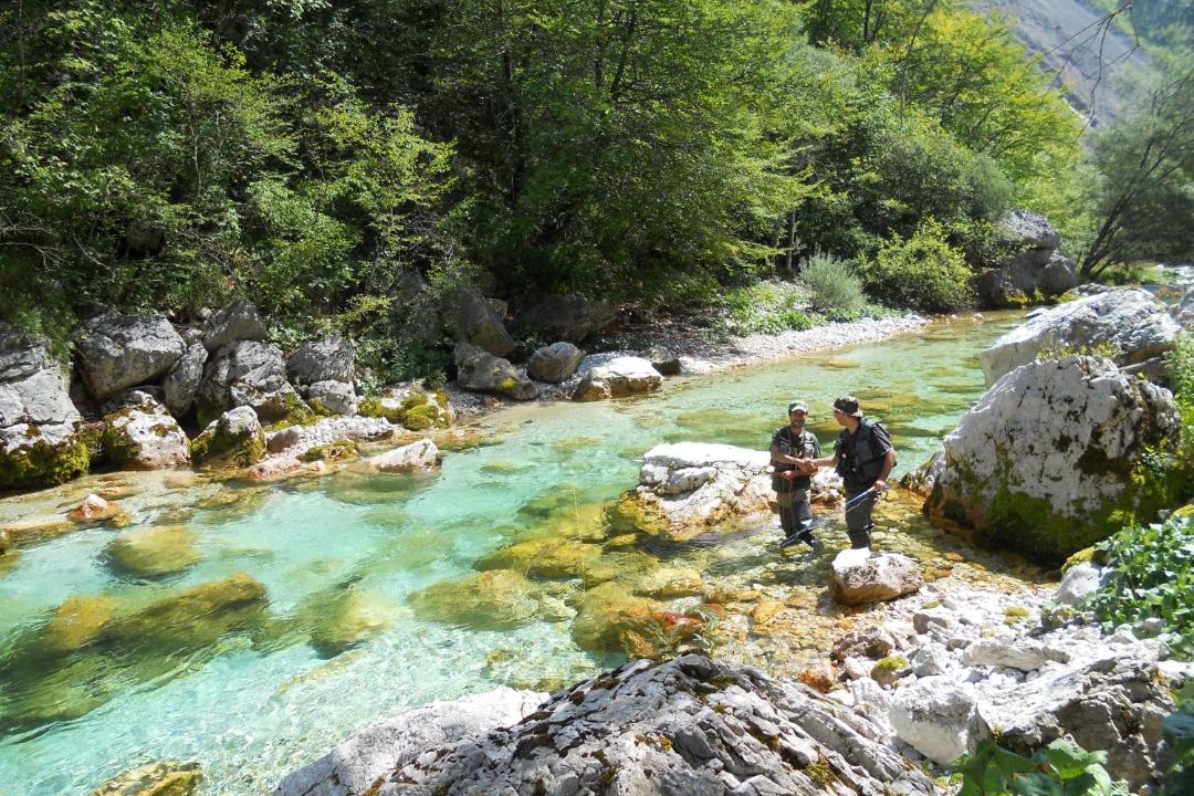 Photo of Others in Tolmin