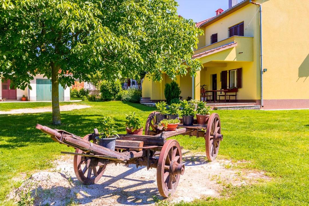 Photo of Others in Grandici
