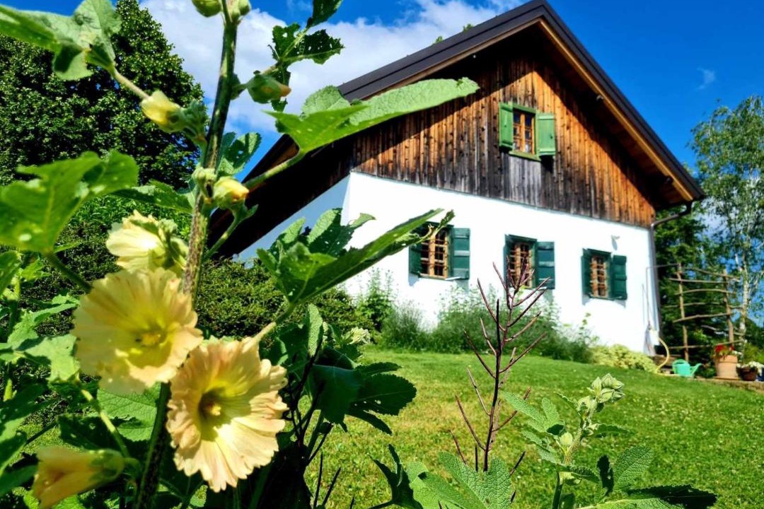 Photo of Others in Majsperk