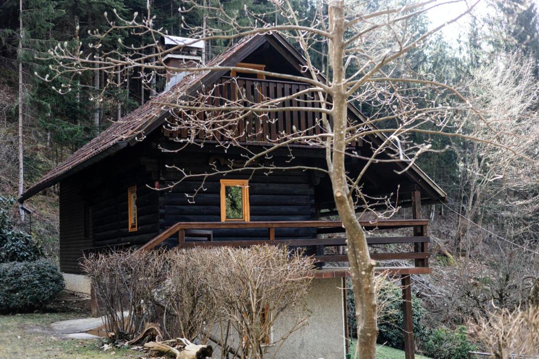 Photo of Others in Ljubno