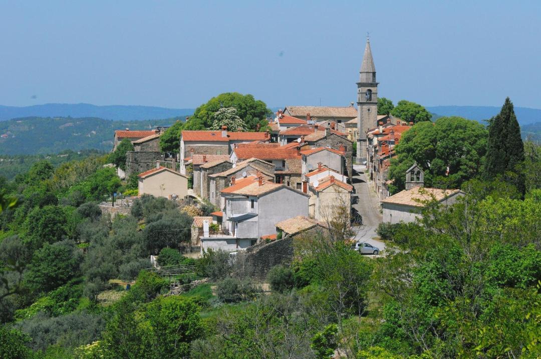 Photo of Others in Draguc