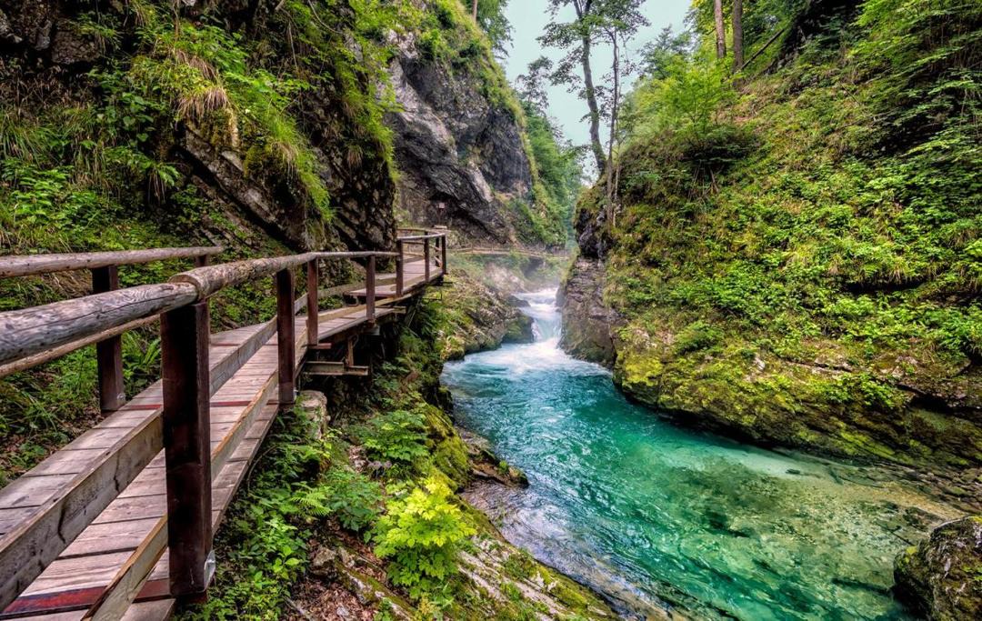 Photo of Others in Jesenice