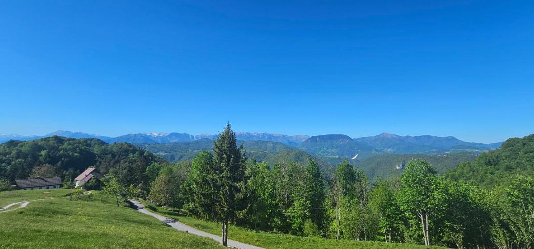 Photo of Others in Tolmin