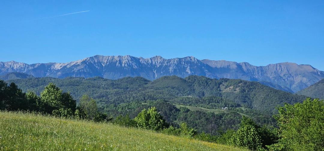 Photo of Others in Tolmin