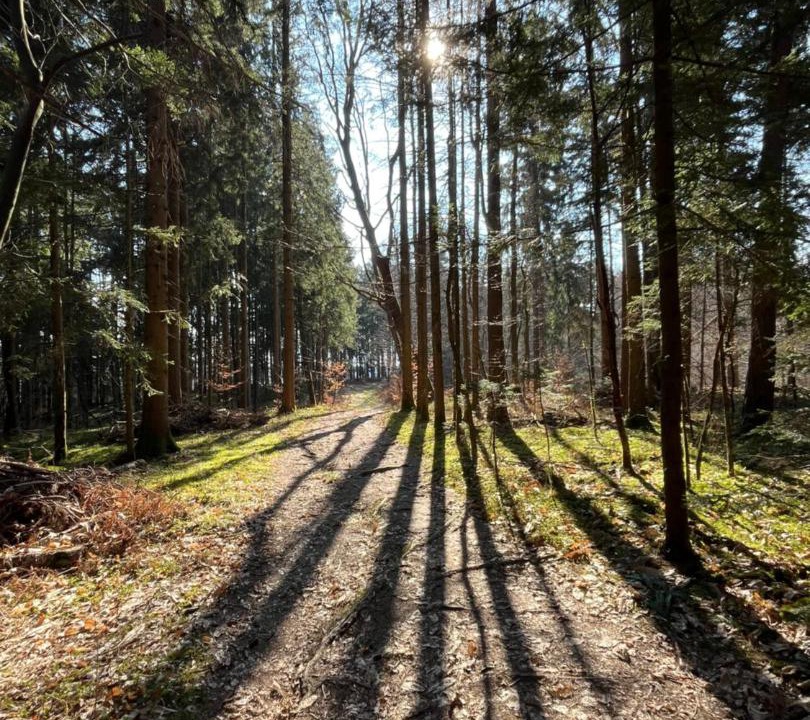 Photo of Others in Podnart