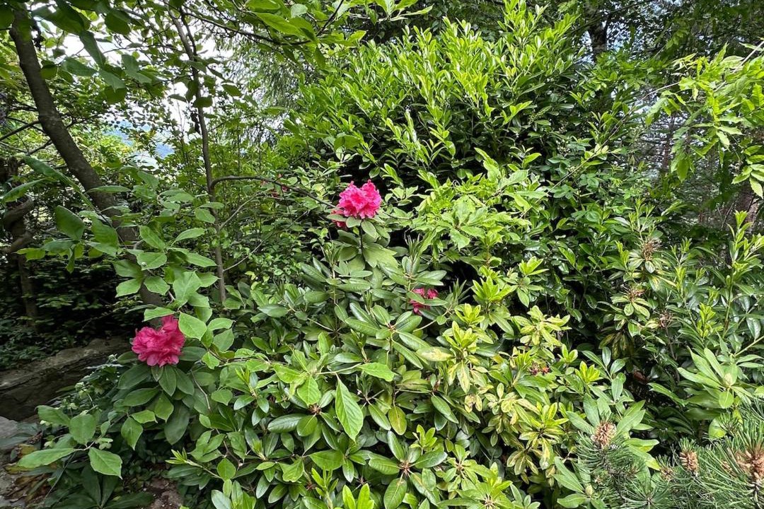 Photo of Outdoor in Stranice