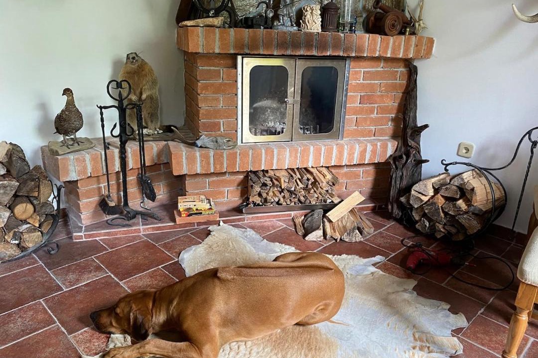 Photo of Livingroom in Stranice