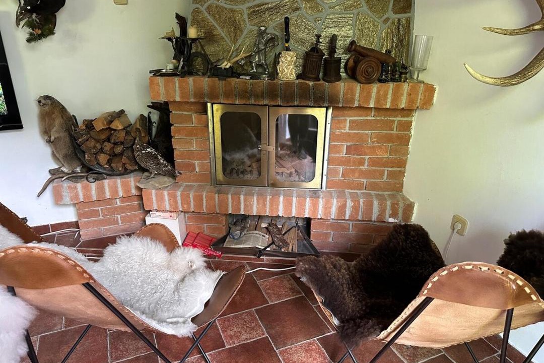 Photo of Livingroom in Stranice