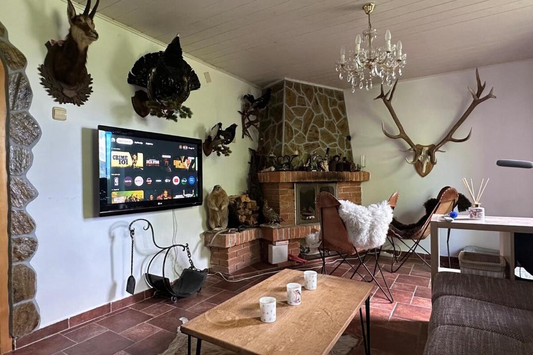 Photo of Livingroom in Stranice