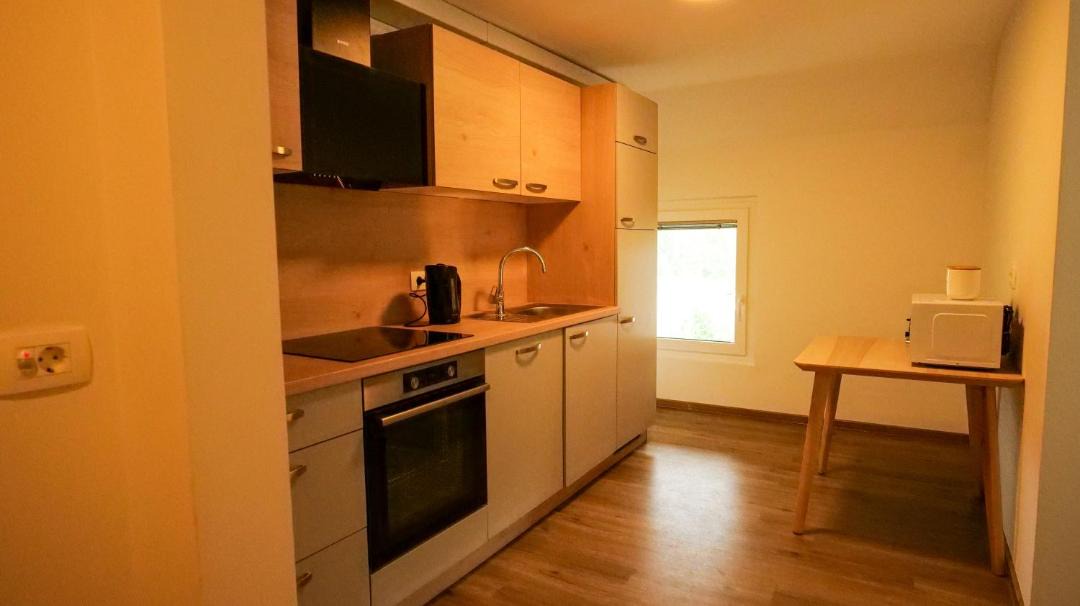 Photo of Kitchen in Bled