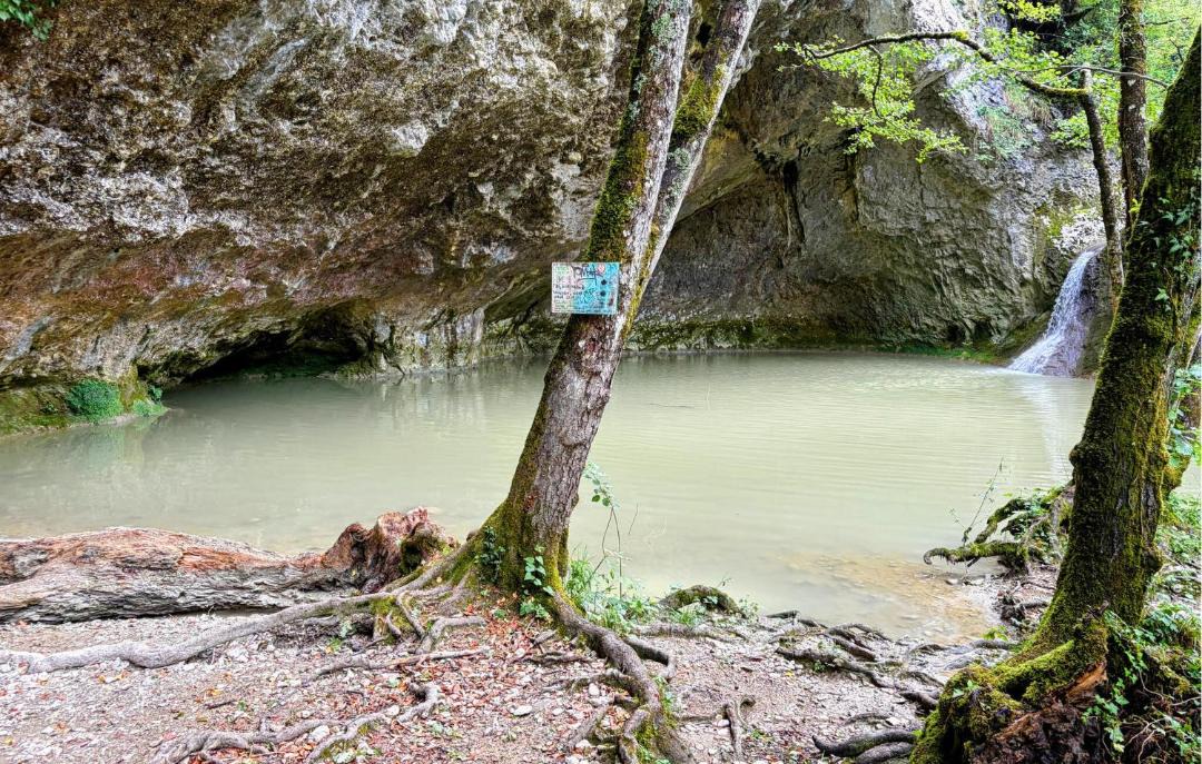 Photo of Others in Buzet