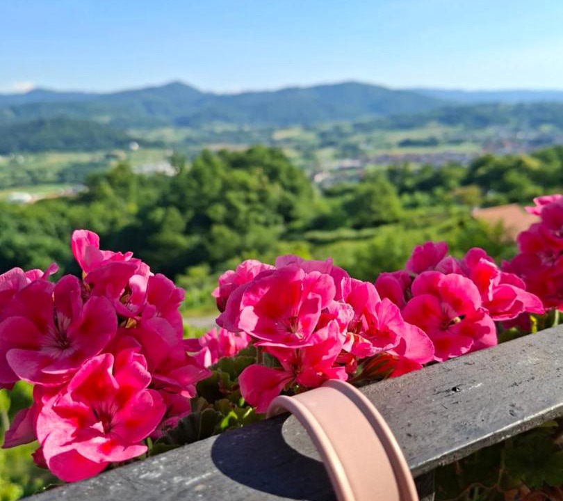 Photo of Others in Varazdinske Toplice